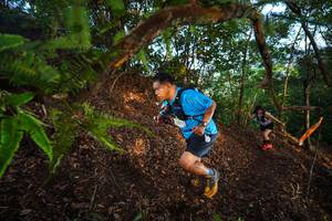 BIB: 
                            <button type="button" onclick="openModal(21875279)" class="btn btn-primary btn-sm float-right btn-popup" data-toggle="modal" data-target=".modal-high-quality">
                        <i class="fas fa-shopping-cart"></i> Add to Cart
                    </button>
                                            <button type="button" onclick="isThisMe(21875279, true)" class="btn btn-success btn-sm float-right btn-popup btn-isme hidden" data-toggle="tooltip" data-placement="bottom" title="นี่คือรูปของคุณใช่ไหม คลิกที่นี่เพื่อเอาเข้าอัลบั้ม">
                        <i class="fas fa-plus"></i> Add to album
                    </button>
                    <button type="button" onclick="isThisMe(21875279, false)" class="btn btn-warning btn-sm float-right btn-popup btn-isnotme hidden">
                        <i class="fas fa-ban"></i> Remove from album
                    </button>