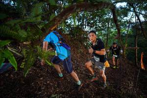 BIB: 
                            <button type="button" onclick="openModal(21866573)" class="btn btn-primary btn-sm float-right btn-popup" data-toggle="modal" data-target=".modal-high-quality">
                        <i class="fas fa-shopping-cart"></i> Add to Cart
                    </button>
                                            <button type="button" onclick="isThisMe(21866573, true)" class="btn btn-success btn-sm float-right btn-popup btn-isme hidden" data-toggle="tooltip" data-placement="bottom" title="นี่คือรูปของคุณใช่ไหม คลิกที่นี่เพื่อเอาเข้าอัลบั้ม">
                        <i class="fas fa-plus"></i> Add to album
                    </button>
                    <button type="button" onclick="isThisMe(21866573, false)" class="btn btn-warning btn-sm float-right btn-popup btn-isnotme hidden">
                        <i class="fas fa-ban"></i> Remove from album
                    </button>