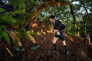 BIB: 
                            <button type="button" onclick="openModal(21871183)" class="btn btn-primary btn-sm float-right btn-popup" data-toggle="modal" data-target=".modal-high-quality">
                        <i class="fas fa-shopping-cart"></i> Add to Cart
                    </button>
                                            <button type="button" onclick="isThisMe(21871183, true)" class="btn btn-success btn-sm float-right btn-popup btn-isme hidden" data-toggle="tooltip" data-placement="bottom" title="นี่คือรูปของคุณใช่ไหม คลิกที่นี่เพื่อเอาเข้าอัลบั้ม">
                        <i class="fas fa-plus"></i> Add to album
                    </button>
                    <button type="button" onclick="isThisMe(21871183, false)" class="btn btn-warning btn-sm float-right btn-popup btn-isnotme hidden">
                        <i class="fas fa-ban"></i> Remove from album
                    </button>