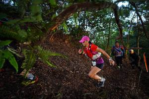 BIB: 
                            <button type="button" onclick="openModal(21867327)" class="btn btn-primary btn-sm float-right btn-popup" data-toggle="modal" data-target=".modal-high-quality">
                        <i class="fas fa-shopping-cart"></i> Add to Cart
                    </button>
                                            <button type="button" onclick="isThisMe(21867327, true)" class="btn btn-success btn-sm float-right btn-popup btn-isme hidden" data-toggle="tooltip" data-placement="bottom" title="นี่คือรูปของคุณใช่ไหม คลิกที่นี่เพื่อเอาเข้าอัลบั้ม">
                        <i class="fas fa-plus"></i> Add to album
                    </button>
                    <button type="button" onclick="isThisMe(21867327, false)" class="btn btn-warning btn-sm float-right btn-popup btn-isnotme hidden">
                        <i class="fas fa-ban"></i> Remove from album
                    </button>