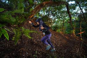 BIB: 
                            <button type="button" onclick="openModal(21868369)" class="btn btn-primary btn-sm float-right btn-popup" data-toggle="modal" data-target=".modal-high-quality">
                        <i class="fas fa-shopping-cart"></i> Add to Cart
                    </button>
                                            <button type="button" onclick="isThisMe(21868369, true)" class="btn btn-success btn-sm float-right btn-popup btn-isme hidden" data-toggle="tooltip" data-placement="bottom" title="นี่คือรูปของคุณใช่ไหม คลิกที่นี่เพื่อเอาเข้าอัลบั้ม">
                        <i class="fas fa-plus"></i> Add to album
                    </button>
                    <button type="button" onclick="isThisMe(21868369, false)" class="btn btn-warning btn-sm float-right btn-popup btn-isnotme hidden">
                        <i class="fas fa-ban"></i> Remove from album
                    </button>