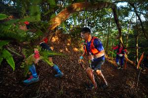 BIB: 224430
                            <button type="button" onclick="openModal(21870640)" class="btn btn-primary btn-sm float-right btn-popup" data-toggle="modal" data-target=".modal-high-quality">
                        <i class="fas fa-shopping-cart"></i> Add to Cart
                    </button>
                                            <button type="button" onclick="isThisMe(21870640, true)" class="btn btn-success btn-sm float-right btn-popup btn-isme hidden" data-toggle="tooltip" data-placement="bottom" title="นี่คือรูปของคุณใช่ไหม คลิกที่นี่เพื่อเอาเข้าอัลบั้ม">
                        <i class="fas fa-plus"></i> Add to album
                    </button>
                    <button type="button" onclick="isThisMe(21870640, false)" class="btn btn-warning btn-sm float-right btn-popup btn-isnotme hidden">
                        <i class="fas fa-ban"></i> Remove from album
                    </button>