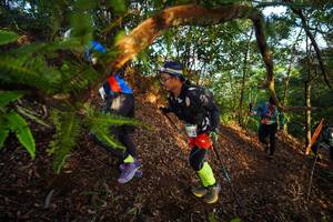 BIB: 
                            <button type="button" onclick="openModal(21870212)" class="btn btn-primary btn-sm float-right btn-popup" data-toggle="modal" data-target=".modal-high-quality">
                        <i class="fas fa-shopping-cart"></i> Add to Cart
                    </button>
                                            <button type="button" onclick="isThisMe(21870212, true)" class="btn btn-success btn-sm float-right btn-popup btn-isme hidden" data-toggle="tooltip" data-placement="bottom" title="นี่คือรูปของคุณใช่ไหม คลิกที่นี่เพื่อเอาเข้าอัลบั้ม">
                        <i class="fas fa-plus"></i> Add to album
                    </button>
                    <button type="button" onclick="isThisMe(21870212, false)" class="btn btn-warning btn-sm float-right btn-popup btn-isnotme hidden">
                        <i class="fas fa-ban"></i> Remove from album
                    </button>