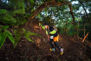 BIB: 2521
                            <button type="button" onclick="openModal(21875469)" class="btn btn-primary btn-sm float-right btn-popup" data-toggle="modal" data-target=".modal-high-quality">
                        <i class="fas fa-shopping-cart"></i> Add to Cart
                    </button>
                                            <button type="button" onclick="isThisMe(21875469, true)" class="btn btn-success btn-sm float-right btn-popup btn-isme hidden" data-toggle="tooltip" data-placement="bottom" title="นี่คือรูปของคุณใช่ไหม คลิกที่นี่เพื่อเอาเข้าอัลบั้ม">
                        <i class="fas fa-plus"></i> Add to album
                    </button>
                    <button type="button" onclick="isThisMe(21875469, false)" class="btn btn-warning btn-sm float-right btn-popup btn-isnotme hidden">
                        <i class="fas fa-ban"></i> Remove from album
                    </button>