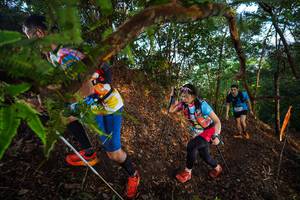 BIB: 
                            <button type="button" onclick="openModal(21877244)" class="btn btn-primary btn-sm float-right btn-popup" data-toggle="modal" data-target=".modal-high-quality">
                        <i class="fas fa-shopping-cart"></i> Add to Cart
                    </button>
                                            <button type="button" onclick="isThisMe(21877244, true)" class="btn btn-success btn-sm float-right btn-popup btn-isme hidden" data-toggle="tooltip" data-placement="bottom" title="นี่คือรูปของคุณใช่ไหม คลิกที่นี่เพื่อเอาเข้าอัลบั้ม">
                        <i class="fas fa-plus"></i> Add to album
                    </button>
                    <button type="button" onclick="isThisMe(21877244, false)" class="btn btn-warning btn-sm float-right btn-popup btn-isnotme hidden">
                        <i class="fas fa-ban"></i> Remove from album
                    </button>