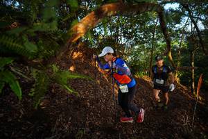 BIB: 105
                            <button type="button" onclick="openModal(21870436)" class="btn btn-primary btn-sm float-right btn-popup" data-toggle="modal" data-target=".modal-high-quality">
                        <i class="fas fa-shopping-cart"></i> Add to Cart
                    </button>
                                            <button type="button" onclick="isThisMe(21870436, true)" class="btn btn-success btn-sm float-right btn-popup btn-isme hidden" data-toggle="tooltip" data-placement="bottom" title="นี่คือรูปของคุณใช่ไหม คลิกที่นี่เพื่อเอาเข้าอัลบั้ม">
                        <i class="fas fa-plus"></i> Add to album
                    </button>
                    <button type="button" onclick="isThisMe(21870436, false)" class="btn btn-warning btn-sm float-right btn-popup btn-isnotme hidden">
                        <i class="fas fa-ban"></i> Remove from album
                    </button>