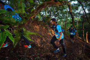 BIB: 
                            <button type="button" onclick="openModal(21877743)" class="btn btn-primary btn-sm float-right btn-popup" data-toggle="modal" data-target=".modal-high-quality">
                        <i class="fas fa-shopping-cart"></i> Add to Cart
                    </button>
                                            <button type="button" onclick="isThisMe(21877743, true)" class="btn btn-success btn-sm float-right btn-popup btn-isme hidden" data-toggle="tooltip" data-placement="bottom" title="นี่คือรูปของคุณใช่ไหม คลิกที่นี่เพื่อเอาเข้าอัลบั้ม">
                        <i class="fas fa-plus"></i> Add to album
                    </button>
                    <button type="button" onclick="isThisMe(21877743, false)" class="btn btn-warning btn-sm float-right btn-popup btn-isnotme hidden">
                        <i class="fas fa-ban"></i> Remove from album
                    </button>