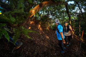 BIB: 
                            <button type="button" onclick="openModal(21870308)" class="btn btn-primary btn-sm float-right btn-popup" data-toggle="modal" data-target=".modal-high-quality">
                        <i class="fas fa-shopping-cart"></i> Add to Cart
                    </button>
                                            <button type="button" onclick="isThisMe(21870308, true)" class="btn btn-success btn-sm float-right btn-popup btn-isme hidden" data-toggle="tooltip" data-placement="bottom" title="นี่คือรูปของคุณใช่ไหม คลิกที่นี่เพื่อเอาเข้าอัลบั้ม">
                        <i class="fas fa-plus"></i> Add to album
                    </button>
                    <button type="button" onclick="isThisMe(21870308, false)" class="btn btn-warning btn-sm float-right btn-popup btn-isnotme hidden">
                        <i class="fas fa-ban"></i> Remove from album
                    </button>