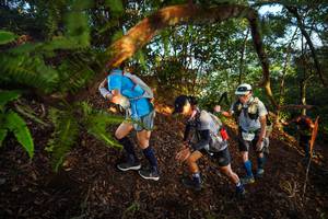 BIB: 
                            <button type="button" onclick="openModal(21870477)" class="btn btn-primary btn-sm float-right btn-popup" data-toggle="modal" data-target=".modal-high-quality">
                        <i class="fas fa-shopping-cart"></i> Add to Cart
                    </button>
                                            <button type="button" onclick="isThisMe(21870477, true)" class="btn btn-success btn-sm float-right btn-popup btn-isme hidden" data-toggle="tooltip" data-placement="bottom" title="นี่คือรูปของคุณใช่ไหม คลิกที่นี่เพื่อเอาเข้าอัลบั้ม">
                        <i class="fas fa-plus"></i> Add to album
                    </button>
                    <button type="button" onclick="isThisMe(21870477, false)" class="btn btn-warning btn-sm float-right btn-popup btn-isnotme hidden">
                        <i class="fas fa-ban"></i> Remove from album
                    </button>