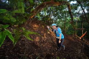 BIB: 
                            <button type="button" onclick="openModal(21875204)" class="btn btn-primary btn-sm float-right btn-popup" data-toggle="modal" data-target=".modal-high-quality">
                        <i class="fas fa-shopping-cart"></i> Add to Cart
                    </button>
                                            <button type="button" onclick="isThisMe(21875204, true)" class="btn btn-success btn-sm float-right btn-popup btn-isme hidden" data-toggle="tooltip" data-placement="bottom" title="นี่คือรูปของคุณใช่ไหม คลิกที่นี่เพื่อเอาเข้าอัลบั้ม">
                        <i class="fas fa-plus"></i> Add to album
                    </button>
                    <button type="button" onclick="isThisMe(21875204, false)" class="btn btn-warning btn-sm float-right btn-popup btn-isnotme hidden">
                        <i class="fas fa-ban"></i> Remove from album
                    </button>