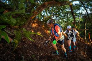 BIB: 2143, 201
                            <button type="button" onclick="openModal(21871327)" class="btn btn-primary btn-sm float-right btn-popup" data-toggle="modal" data-target=".modal-high-quality">
                        <i class="fas fa-shopping-cart"></i> Add to Cart
                    </button>
                                            <button type="button" onclick="isThisMe(21871327, true)" class="btn btn-success btn-sm float-right btn-popup btn-isme hidden" data-toggle="tooltip" data-placement="bottom" title="นี่คือรูปของคุณใช่ไหม คลิกที่นี่เพื่อเอาเข้าอัลบั้ม">
                        <i class="fas fa-plus"></i> Add to album
                    </button>
                    <button type="button" onclick="isThisMe(21871327, false)" class="btn btn-warning btn-sm float-right btn-popup btn-isnotme hidden">
                        <i class="fas fa-ban"></i> Remove from album
                    </button>