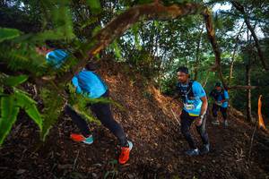 BIB: 
                            <button type="button" onclick="openModal(21877663)" class="btn btn-primary btn-sm float-right btn-popup" data-toggle="modal" data-target=".modal-high-quality">
                        <i class="fas fa-shopping-cart"></i> Add to Cart
                    </button>
                                            <button type="button" onclick="isThisMe(21877663, true)" class="btn btn-success btn-sm float-right btn-popup btn-isme hidden" data-toggle="tooltip" data-placement="bottom" title="นี่คือรูปของคุณใช่ไหม คลิกที่นี่เพื่อเอาเข้าอัลบั้ม">
                        <i class="fas fa-plus"></i> Add to album
                    </button>
                    <button type="button" onclick="isThisMe(21877663, false)" class="btn btn-warning btn-sm float-right btn-popup btn-isnotme hidden">
                        <i class="fas fa-ban"></i> Remove from album
                    </button>