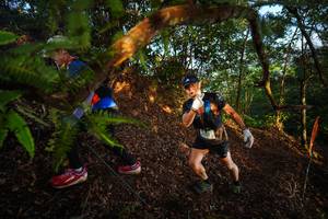 BIB: 
                            <button type="button" onclick="openModal(21870435)" class="btn btn-primary btn-sm float-right btn-popup" data-toggle="modal" data-target=".modal-high-quality">
                        <i class="fas fa-shopping-cart"></i> Add to Cart
                    </button>
                                            <button type="button" onclick="isThisMe(21870435, true)" class="btn btn-success btn-sm float-right btn-popup btn-isme hidden" data-toggle="tooltip" data-placement="bottom" title="นี่คือรูปของคุณใช่ไหม คลิกที่นี่เพื่อเอาเข้าอัลบั้ม">
                        <i class="fas fa-plus"></i> Add to album
                    </button>
                    <button type="button" onclick="isThisMe(21870435, false)" class="btn btn-warning btn-sm float-right btn-popup btn-isnotme hidden">
                        <i class="fas fa-ban"></i> Remove from album
                    </button>