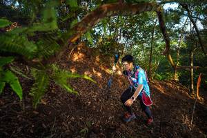 BIB: 
                            <button type="button" onclick="openModal(21871199)" class="btn btn-primary btn-sm float-right btn-popup" data-toggle="modal" data-target=".modal-high-quality">
                        <i class="fas fa-shopping-cart"></i> Add to Cart
                    </button>
                                            <button type="button" onclick="isThisMe(21871199, true)" class="btn btn-success btn-sm float-right btn-popup btn-isme hidden" data-toggle="tooltip" data-placement="bottom" title="นี่คือรูปของคุณใช่ไหม คลิกที่นี่เพื่อเอาเข้าอัลบั้ม">
                        <i class="fas fa-plus"></i> Add to album
                    </button>
                    <button type="button" onclick="isThisMe(21871199, false)" class="btn btn-warning btn-sm float-right btn-popup btn-isnotme hidden">
                        <i class="fas fa-ban"></i> Remove from album
                    </button>