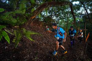 BIB: 247
                            <button type="button" onclick="openModal(21866950)" class="btn btn-primary btn-sm float-right btn-popup" data-toggle="modal" data-target=".modal-high-quality">
                        <i class="fas fa-shopping-cart"></i> Add to Cart
                    </button>
                                            <button type="button" onclick="isThisMe(21866950, true)" class="btn btn-success btn-sm float-right btn-popup btn-isme hidden" data-toggle="tooltip" data-placement="bottom" title="นี่คือรูปของคุณใช่ไหม คลิกที่นี่เพื่อเอาเข้าอัลบั้ม">
                        <i class="fas fa-plus"></i> Add to album
                    </button>
                    <button type="button" onclick="isThisMe(21866950, false)" class="btn btn-warning btn-sm float-right btn-popup btn-isnotme hidden">
                        <i class="fas fa-ban"></i> Remove from album
                    </button>