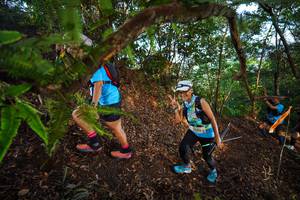 BIB: 3123
                            <button type="button" onclick="openModal(21873924)" class="btn btn-primary btn-sm float-right btn-popup" data-toggle="modal" data-target=".modal-high-quality">
                        <i class="fas fa-shopping-cart"></i> Add to Cart
                    </button>
                                            <button type="button" onclick="isThisMe(21873924, true)" class="btn btn-success btn-sm float-right btn-popup btn-isme hidden" data-toggle="tooltip" data-placement="bottom" title="นี่คือรูปของคุณใช่ไหม คลิกที่นี่เพื่อเอาเข้าอัลบั้ม">
                        <i class="fas fa-plus"></i> Add to album
                    </button>
                    <button type="button" onclick="isThisMe(21873924, false)" class="btn btn-warning btn-sm float-right btn-popup btn-isnotme hidden">
                        <i class="fas fa-ban"></i> Remove from album
                    </button>