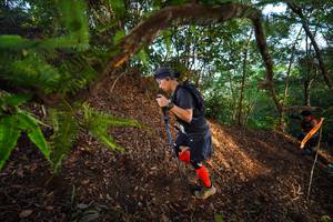 BIB: 
                            <button type="button" onclick="openModal(21878678)" class="btn btn-primary btn-sm float-right btn-popup" data-toggle="modal" data-target=".modal-high-quality">
                        <i class="fas fa-shopping-cart"></i> Add to Cart
                    </button>
                                            <button type="button" onclick="isThisMe(21878678, true)" class="btn btn-success btn-sm float-right btn-popup btn-isme hidden" data-toggle="tooltip" data-placement="bottom" title="นี่คือรูปของคุณใช่ไหม คลิกที่นี่เพื่อเอาเข้าอัลบั้ม">
                        <i class="fas fa-plus"></i> Add to album
                    </button>
                    <button type="button" onclick="isThisMe(21878678, false)" class="btn btn-warning btn-sm float-right btn-popup btn-isnotme hidden">
                        <i class="fas fa-ban"></i> Remove from album
                    </button>