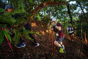 BIB: 
                            <button type="button" onclick="openModal(21871752)" class="btn btn-primary btn-sm float-right btn-popup" data-toggle="modal" data-target=".modal-high-quality">
                        <i class="fas fa-shopping-cart"></i> Add to Cart
                    </button>
                                            <button type="button" onclick="isThisMe(21871752, true)" class="btn btn-success btn-sm float-right btn-popup btn-isme hidden" data-toggle="tooltip" data-placement="bottom" title="นี่คือรูปของคุณใช่ไหม คลิกที่นี่เพื่อเอาเข้าอัลบั้ม">
                        <i class="fas fa-plus"></i> Add to album
                    </button>
                    <button type="button" onclick="isThisMe(21871752, false)" class="btn btn-warning btn-sm float-right btn-popup btn-isnotme hidden">
                        <i class="fas fa-ban"></i> Remove from album
                    </button>