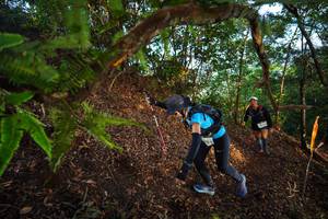 BIB: 
                            <button type="button" onclick="openModal(21873598)" class="btn btn-primary btn-sm float-right btn-popup" data-toggle="modal" data-target=".modal-high-quality">
                        <i class="fas fa-shopping-cart"></i> Add to Cart
                    </button>
                                            <button type="button" onclick="isThisMe(21873598, true)" class="btn btn-success btn-sm float-right btn-popup btn-isme hidden" data-toggle="tooltip" data-placement="bottom" title="นี่คือรูปของคุณใช่ไหม คลิกที่นี่เพื่อเอาเข้าอัลบั้ม">
                        <i class="fas fa-plus"></i> Add to album
                    </button>
                    <button type="button" onclick="isThisMe(21873598, false)" class="btn btn-warning btn-sm float-right btn-popup btn-isnotme hidden">
                        <i class="fas fa-ban"></i> Remove from album
                    </button>