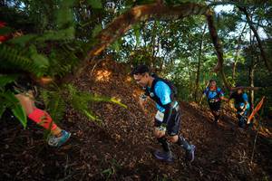 BIB: 2049
                            <button type="button" onclick="openModal(21871578)" class="btn btn-primary btn-sm float-right btn-popup" data-toggle="modal" data-target=".modal-high-quality">
                        <i class="fas fa-shopping-cart"></i> Add to Cart
                    </button>
                                            <button type="button" onclick="isThisMe(21871578, true)" class="btn btn-success btn-sm float-right btn-popup btn-isme hidden" data-toggle="tooltip" data-placement="bottom" title="นี่คือรูปของคุณใช่ไหม คลิกที่นี่เพื่อเอาเข้าอัลบั้ม">
                        <i class="fas fa-plus"></i> Add to album
                    </button>
                    <button type="button" onclick="isThisMe(21871578, false)" class="btn btn-warning btn-sm float-right btn-popup btn-isnotme hidden">
                        <i class="fas fa-ban"></i> Remove from album
                    </button>