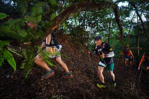 BIB: 
                            <button type="button" onclick="openModal(21866583)" class="btn btn-primary btn-sm float-right btn-popup" data-toggle="modal" data-target=".modal-high-quality">
                        <i class="fas fa-shopping-cart"></i> Add to Cart
                    </button>
                                            <button type="button" onclick="isThisMe(21866583, true)" class="btn btn-success btn-sm float-right btn-popup btn-isme hidden" data-toggle="tooltip" data-placement="bottom" title="นี่คือรูปของคุณใช่ไหม คลิกที่นี่เพื่อเอาเข้าอัลบั้ม">
                        <i class="fas fa-plus"></i> Add to album
                    </button>
                    <button type="button" onclick="isThisMe(21866583, false)" class="btn btn-warning btn-sm float-right btn-popup btn-isnotme hidden">
                        <i class="fas fa-ban"></i> Remove from album
                    </button>