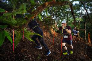 BIB: 3167
                            <button type="button" onclick="openModal(21871715)" class="btn btn-primary btn-sm float-right btn-popup" data-toggle="modal" data-target=".modal-high-quality">
                        <i class="fas fa-shopping-cart"></i> Add to Cart
                    </button>
                                            <button type="button" onclick="isThisMe(21871715, true)" class="btn btn-success btn-sm float-right btn-popup btn-isme hidden" data-toggle="tooltip" data-placement="bottom" title="นี่คือรูปของคุณใช่ไหม คลิกที่นี่เพื่อเอาเข้าอัลบั้ม">
                        <i class="fas fa-plus"></i> Add to album
                    </button>
                    <button type="button" onclick="isThisMe(21871715, false)" class="btn btn-warning btn-sm float-right btn-popup btn-isnotme hidden">
                        <i class="fas fa-ban"></i> Remove from album
                    </button>