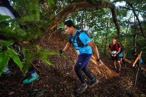 BIB: 
                            <button type="button" onclick="openModal(21879099)" class="btn btn-primary btn-sm float-right btn-popup" data-toggle="modal" data-target=".modal-high-quality">
                        <i class="fas fa-shopping-cart"></i> Add to Cart
                    </button>
                                            <button type="button" onclick="isThisMe(21879099, true)" class="btn btn-success btn-sm float-right btn-popup btn-isme hidden" data-toggle="tooltip" data-placement="bottom" title="นี่คือรูปของคุณใช่ไหม คลิกที่นี่เพื่อเอาเข้าอัลบั้ม">
                        <i class="fas fa-plus"></i> Add to album
                    </button>
                    <button type="button" onclick="isThisMe(21879099, false)" class="btn btn-warning btn-sm float-right btn-popup btn-isnotme hidden">
                        <i class="fas fa-ban"></i> Remove from album
                    </button>