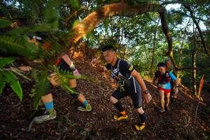 BIB: 
                            <button type="button" onclick="openModal(21870156)" class="btn btn-primary btn-sm float-right btn-popup" data-toggle="modal" data-target=".modal-high-quality">
                        <i class="fas fa-shopping-cart"></i> Add to Cart
                    </button>
                                            <button type="button" onclick="isThisMe(21870156, true)" class="btn btn-success btn-sm float-right btn-popup btn-isme hidden" data-toggle="tooltip" data-placement="bottom" title="นี่คือรูปของคุณใช่ไหม คลิกที่นี่เพื่อเอาเข้าอัลบั้ม">
                        <i class="fas fa-plus"></i> Add to album
                    </button>
                    <button type="button" onclick="isThisMe(21870156, false)" class="btn btn-warning btn-sm float-right btn-popup btn-isnotme hidden">
                        <i class="fas fa-ban"></i> Remove from album
                    </button>