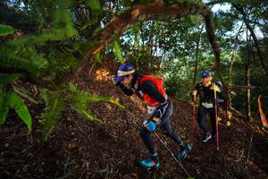 BIB: 
                            <button type="button" onclick="openModal(21871664)" class="btn btn-primary btn-sm float-right btn-popup" data-toggle="modal" data-target=".modal-high-quality">
                        <i class="fas fa-shopping-cart"></i> Add to Cart
                    </button>
                                            <button type="button" onclick="isThisMe(21871664, true)" class="btn btn-success btn-sm float-right btn-popup btn-isme hidden" data-toggle="tooltip" data-placement="bottom" title="นี่คือรูปของคุณใช่ไหม คลิกที่นี่เพื่อเอาเข้าอัลบั้ม">
                        <i class="fas fa-plus"></i> Add to album
                    </button>
                    <button type="button" onclick="isThisMe(21871664, false)" class="btn btn-warning btn-sm float-right btn-popup btn-isnotme hidden">
                        <i class="fas fa-ban"></i> Remove from album
                    </button>