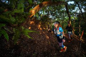 BIB: 
                            <button type="button" onclick="openModal(21870351)" class="btn btn-primary btn-sm float-right btn-popup" data-toggle="modal" data-target=".modal-high-quality">
                        <i class="fas fa-shopping-cart"></i> Add to Cart
                    </button>
                                            <button type="button" onclick="isThisMe(21870351, true)" class="btn btn-success btn-sm float-right btn-popup btn-isme hidden" data-toggle="tooltip" data-placement="bottom" title="นี่คือรูปของคุณใช่ไหม คลิกที่นี่เพื่อเอาเข้าอัลบั้ม">
                        <i class="fas fa-plus"></i> Add to album
                    </button>
                    <button type="button" onclick="isThisMe(21870351, false)" class="btn btn-warning btn-sm float-right btn-popup btn-isnotme hidden">
                        <i class="fas fa-ban"></i> Remove from album
                    </button>