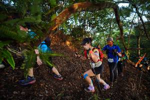 BIB: 
                            <button type="button" onclick="openModal(21869164)" class="btn btn-primary btn-sm float-right btn-popup" data-toggle="modal" data-target=".modal-high-quality">
                        <i class="fas fa-shopping-cart"></i> Add to Cart
                    </button>
                                            <button type="button" onclick="isThisMe(21869164, true)" class="btn btn-success btn-sm float-right btn-popup btn-isme hidden" data-toggle="tooltip" data-placement="bottom" title="นี่คือรูปของคุณใช่ไหม คลิกที่นี่เพื่อเอาเข้าอัลบั้ม">
                        <i class="fas fa-plus"></i> Add to album
                    </button>
                    <button type="button" onclick="isThisMe(21869164, false)" class="btn btn-warning btn-sm float-right btn-popup btn-isnotme hidden">
                        <i class="fas fa-ban"></i> Remove from album
                    </button>