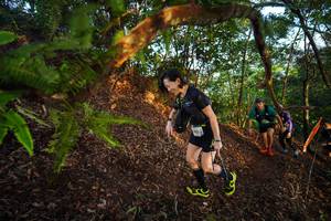 BIB: 
                            <button type="button" onclick="openModal(21869769)" class="btn btn-primary btn-sm float-right btn-popup" data-toggle="modal" data-target=".modal-high-quality">
                        <i class="fas fa-shopping-cart"></i> Add to Cart
                    </button>
                                            <button type="button" onclick="isThisMe(21869769, true)" class="btn btn-success btn-sm float-right btn-popup btn-isme hidden" data-toggle="tooltip" data-placement="bottom" title="นี่คือรูปของคุณใช่ไหม คลิกที่นี่เพื่อเอาเข้าอัลบั้ม">
                        <i class="fas fa-plus"></i> Add to album
                    </button>
                    <button type="button" onclick="isThisMe(21869769, false)" class="btn btn-warning btn-sm float-right btn-popup btn-isnotme hidden">
                        <i class="fas fa-ban"></i> Remove from album
                    </button>