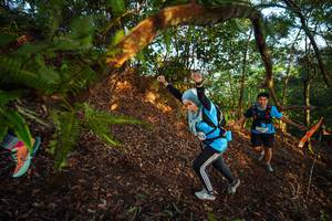 BIB: 
                            <button type="button" onclick="openModal(21869960)" class="btn btn-primary btn-sm float-right btn-popup" data-toggle="modal" data-target=".modal-high-quality">
                        <i class="fas fa-shopping-cart"></i> Add to Cart
                    </button>
                                            <button type="button" onclick="isThisMe(21869960, true)" class="btn btn-success btn-sm float-right btn-popup btn-isme hidden" data-toggle="tooltip" data-placement="bottom" title="นี่คือรูปของคุณใช่ไหม คลิกที่นี่เพื่อเอาเข้าอัลบั้ม">
                        <i class="fas fa-plus"></i> Add to album
                    </button>
                    <button type="button" onclick="isThisMe(21869960, false)" class="btn btn-warning btn-sm float-right btn-popup btn-isnotme hidden">
                        <i class="fas fa-ban"></i> Remove from album
                    </button>