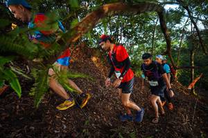 BIB: 2248
                            <button type="button" onclick="openModal(21868603)" class="btn btn-primary btn-sm float-right btn-popup" data-toggle="modal" data-target=".modal-high-quality">
                        <i class="fas fa-shopping-cart"></i> Add to Cart
                    </button>
                                            <button type="button" onclick="isThisMe(21868603, true)" class="btn btn-success btn-sm float-right btn-popup btn-isme hidden" data-toggle="tooltip" data-placement="bottom" title="นี่คือรูปของคุณใช่ไหม คลิกที่นี่เพื่อเอาเข้าอัลบั้ม">
                        <i class="fas fa-plus"></i> Add to album
                    </button>
                    <button type="button" onclick="isThisMe(21868603, false)" class="btn btn-warning btn-sm float-right btn-popup btn-isnotme hidden">
                        <i class="fas fa-ban"></i> Remove from album
                    </button>