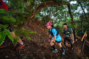 BIB: 
                            <button type="button" onclick="openModal(21879280)" class="btn btn-primary btn-sm float-right btn-popup" data-toggle="modal" data-target=".modal-high-quality">
                        <i class="fas fa-shopping-cart"></i> Add to Cart
                    </button>
                                            <button type="button" onclick="isThisMe(21879280, true)" class="btn btn-success btn-sm float-right btn-popup btn-isme hidden" data-toggle="tooltip" data-placement="bottom" title="นี่คือรูปของคุณใช่ไหม คลิกที่นี่เพื่อเอาเข้าอัลบั้ม">
                        <i class="fas fa-plus"></i> Add to album
                    </button>
                    <button type="button" onclick="isThisMe(21879280, false)" class="btn btn-warning btn-sm float-right btn-popup btn-isnotme hidden">
                        <i class="fas fa-ban"></i> Remove from album
                    </button>