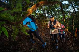 BIB: 2951
                            <button type="button" onclick="openModal(21870329)" class="btn btn-primary btn-sm float-right btn-popup" data-toggle="modal" data-target=".modal-high-quality">
                        <i class="fas fa-shopping-cart"></i> Add to Cart
                    </button>
                                            <button type="button" onclick="isThisMe(21870329, true)" class="btn btn-success btn-sm float-right btn-popup btn-isme hidden" data-toggle="tooltip" data-placement="bottom" title="นี่คือรูปของคุณใช่ไหม คลิกที่นี่เพื่อเอาเข้าอัลบั้ม">
                        <i class="fas fa-plus"></i> Add to album
                    </button>
                    <button type="button" onclick="isThisMe(21870329, false)" class="btn btn-warning btn-sm float-right btn-popup btn-isnotme hidden">
                        <i class="fas fa-ban"></i> Remove from album
                    </button>