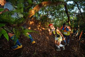 BIB: 574, 
                            <button type="button" onclick="openModal(21870504)" class="btn btn-primary btn-sm float-right btn-popup" data-toggle="modal" data-target=".modal-high-quality">
                        <i class="fas fa-shopping-cart"></i> Add to Cart
                    </button>
                                            <button type="button" onclick="isThisMe(21870504, true)" class="btn btn-success btn-sm float-right btn-popup btn-isme hidden" data-toggle="tooltip" data-placement="bottom" title="นี่คือรูปของคุณใช่ไหม คลิกที่นี่เพื่อเอาเข้าอัลบั้ม">
                        <i class="fas fa-plus"></i> Add to album
                    </button>
                    <button type="button" onclick="isThisMe(21870504, false)" class="btn btn-warning btn-sm float-right btn-popup btn-isnotme hidden">
                        <i class="fas fa-ban"></i> Remove from album
                    </button>