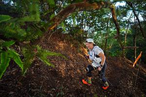 BIB: 3415
                            <button type="button" onclick="openModal(21878169)" class="btn btn-primary btn-sm float-right btn-popup" data-toggle="modal" data-target=".modal-high-quality">
                        <i class="fas fa-shopping-cart"></i> Add to Cart
                    </button>
                                            <button type="button" onclick="isThisMe(21878169, true)" class="btn btn-success btn-sm float-right btn-popup btn-isme hidden" data-toggle="tooltip" data-placement="bottom" title="นี่คือรูปของคุณใช่ไหม คลิกที่นี่เพื่อเอาเข้าอัลบั้ม">
                        <i class="fas fa-plus"></i> Add to album
                    </button>
                    <button type="button" onclick="isThisMe(21878169, false)" class="btn btn-warning btn-sm float-right btn-popup btn-isnotme hidden">
                        <i class="fas fa-ban"></i> Remove from album
                    </button>