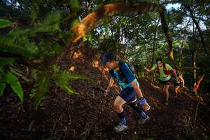 BIB: 
                            <button type="button" onclick="openModal(21870258)" class="btn btn-primary btn-sm float-right btn-popup" data-toggle="modal" data-target=".modal-high-quality">
                        <i class="fas fa-shopping-cart"></i> Add to Cart
                    </button>
                                            <button type="button" onclick="isThisMe(21870258, true)" class="btn btn-success btn-sm float-right btn-popup btn-isme hidden" data-toggle="tooltip" data-placement="bottom" title="นี่คือรูปของคุณใช่ไหม คลิกที่นี่เพื่อเอาเข้าอัลบั้ม">
                        <i class="fas fa-plus"></i> Add to album
                    </button>
                    <button type="button" onclick="isThisMe(21870258, false)" class="btn btn-warning btn-sm float-right btn-popup btn-isnotme hidden">
                        <i class="fas fa-ban"></i> Remove from album
                    </button>