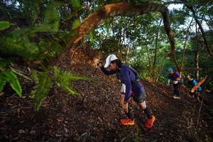 BIB: 
                            <button type="button" onclick="openModal(21868925)" class="btn btn-primary btn-sm float-right btn-popup" data-toggle="modal" data-target=".modal-high-quality">
                        <i class="fas fa-shopping-cart"></i> Add to Cart
                    </button>
                                            <button type="button" onclick="isThisMe(21868925, true)" class="btn btn-success btn-sm float-right btn-popup btn-isme hidden" data-toggle="tooltip" data-placement="bottom" title="นี่คือรูปของคุณใช่ไหม คลิกที่นี่เพื่อเอาเข้าอัลบั้ม">
                        <i class="fas fa-plus"></i> Add to album
                    </button>
                    <button type="button" onclick="isThisMe(21868925, false)" class="btn btn-warning btn-sm float-right btn-popup btn-isnotme hidden">
                        <i class="fas fa-ban"></i> Remove from album
                    </button>