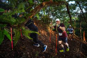 BIB: 
                            <button type="button" onclick="openModal(21871716)" class="btn btn-primary btn-sm float-right btn-popup" data-toggle="modal" data-target=".modal-high-quality">
                        <i class="fas fa-shopping-cart"></i> Add to Cart
                    </button>
                                            <button type="button" onclick="isThisMe(21871716, true)" class="btn btn-success btn-sm float-right btn-popup btn-isme hidden" data-toggle="tooltip" data-placement="bottom" title="นี่คือรูปของคุณใช่ไหม คลิกที่นี่เพื่อเอาเข้าอัลบั้ม">
                        <i class="fas fa-plus"></i> Add to album
                    </button>
                    <button type="button" onclick="isThisMe(21871716, false)" class="btn btn-warning btn-sm float-right btn-popup btn-isnotme hidden">
                        <i class="fas fa-ban"></i> Remove from album
                    </button>