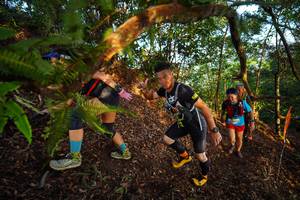 BIB: 
                            <button type="button" onclick="openModal(21870141)" class="btn btn-primary btn-sm float-right btn-popup" data-toggle="modal" data-target=".modal-high-quality">
                        <i class="fas fa-shopping-cart"></i> Add to Cart
                    </button>
                                            <button type="button" onclick="isThisMe(21870141, true)" class="btn btn-success btn-sm float-right btn-popup btn-isme hidden" data-toggle="tooltip" data-placement="bottom" title="นี่คือรูปของคุณใช่ไหม คลิกที่นี่เพื่อเอาเข้าอัลบั้ม">
                        <i class="fas fa-plus"></i> Add to album
                    </button>
                    <button type="button" onclick="isThisMe(21870141, false)" class="btn btn-warning btn-sm float-right btn-popup btn-isnotme hidden">
                        <i class="fas fa-ban"></i> Remove from album
                    </button>