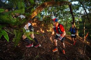 BIB: 
                            <button type="button" onclick="openModal(21870909)" class="btn btn-primary btn-sm float-right btn-popup" data-toggle="modal" data-target=".modal-high-quality">
                        <i class="fas fa-shopping-cart"></i> Add to Cart
                    </button>
                                            <button type="button" onclick="isThisMe(21870909, true)" class="btn btn-success btn-sm float-right btn-popup btn-isme hidden" data-toggle="tooltip" data-placement="bottom" title="นี่คือรูปของคุณใช่ไหม คลิกที่นี่เพื่อเอาเข้าอัลบั้ม">
                        <i class="fas fa-plus"></i> Add to album
                    </button>
                    <button type="button" onclick="isThisMe(21870909, false)" class="btn btn-warning btn-sm float-right btn-popup btn-isnotme hidden">
                        <i class="fas fa-ban"></i> Remove from album
                    </button>