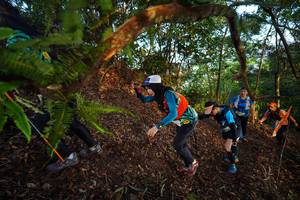 BIB: 
                            <button type="button" onclick="openModal(21869386)" class="btn btn-primary btn-sm float-right btn-popup" data-toggle="modal" data-target=".modal-high-quality">
                        <i class="fas fa-shopping-cart"></i> Add to Cart
                    </button>
                                            <button type="button" onclick="isThisMe(21869386, true)" class="btn btn-success btn-sm float-right btn-popup btn-isme hidden" data-toggle="tooltip" data-placement="bottom" title="นี่คือรูปของคุณใช่ไหม คลิกที่นี่เพื่อเอาเข้าอัลบั้ม">
                        <i class="fas fa-plus"></i> Add to album
                    </button>
                    <button type="button" onclick="isThisMe(21869386, false)" class="btn btn-warning btn-sm float-right btn-popup btn-isnotme hidden">
                        <i class="fas fa-ban"></i> Remove from album
                    </button>