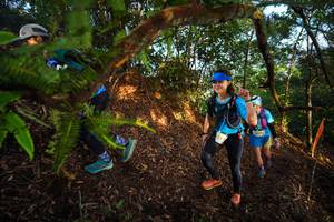 BIB: 
                            <button type="button" onclick="openModal(21871451)" class="btn btn-primary btn-sm float-right btn-popup" data-toggle="modal" data-target=".modal-high-quality">
                        <i class="fas fa-shopping-cart"></i> Add to Cart
                    </button>
                                            <button type="button" onclick="isThisMe(21871451, true)" class="btn btn-success btn-sm float-right btn-popup btn-isme hidden" data-toggle="tooltip" data-placement="bottom" title="นี่คือรูปของคุณใช่ไหม คลิกที่นี่เพื่อเอาเข้าอัลบั้ม">
                        <i class="fas fa-plus"></i> Add to album
                    </button>
                    <button type="button" onclick="isThisMe(21871451, false)" class="btn btn-warning btn-sm float-right btn-popup btn-isnotme hidden">
                        <i class="fas fa-ban"></i> Remove from album
                    </button>