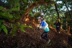 BIB: 
                            <button type="button" onclick="openModal(21871123)" class="btn btn-primary btn-sm float-right btn-popup" data-toggle="modal" data-target=".modal-high-quality">
                        <i class="fas fa-shopping-cart"></i> Add to Cart
                    </button>
                                            <button type="button" onclick="isThisMe(21871123, true)" class="btn btn-success btn-sm float-right btn-popup btn-isme hidden" data-toggle="tooltip" data-placement="bottom" title="นี่คือรูปของคุณใช่ไหม คลิกที่นี่เพื่อเอาเข้าอัลบั้ม">
                        <i class="fas fa-plus"></i> Add to album
                    </button>
                    <button type="button" onclick="isThisMe(21871123, false)" class="btn btn-warning btn-sm float-right btn-popup btn-isnotme hidden">
                        <i class="fas fa-ban"></i> Remove from album
                    </button>