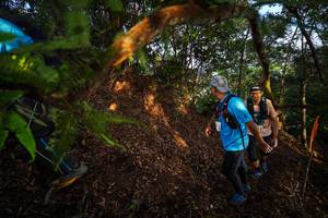 BIB: 
                            <button type="button" onclick="openModal(21870305)" class="btn btn-primary btn-sm float-right btn-popup" data-toggle="modal" data-target=".modal-high-quality">
                        <i class="fas fa-shopping-cart"></i> Add to Cart
                    </button>
                                            <button type="button" onclick="isThisMe(21870305, true)" class="btn btn-success btn-sm float-right btn-popup btn-isme hidden" data-toggle="tooltip" data-placement="bottom" title="นี่คือรูปของคุณใช่ไหม คลิกที่นี่เพื่อเอาเข้าอัลบั้ม">
                        <i class="fas fa-plus"></i> Add to album
                    </button>
                    <button type="button" onclick="isThisMe(21870305, false)" class="btn btn-warning btn-sm float-right btn-popup btn-isnotme hidden">
                        <i class="fas fa-ban"></i> Remove from album
                    </button>