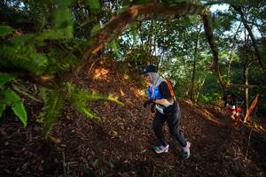 BIB: 
                            <button type="button" onclick="openModal(21871482)" class="btn btn-primary btn-sm float-right btn-popup" data-toggle="modal" data-target=".modal-high-quality">
                        <i class="fas fa-shopping-cart"></i> Add to Cart
                    </button>
                                            <button type="button" onclick="isThisMe(21871482, true)" class="btn btn-success btn-sm float-right btn-popup btn-isme hidden" data-toggle="tooltip" data-placement="bottom" title="นี่คือรูปของคุณใช่ไหม คลิกที่นี่เพื่อเอาเข้าอัลบั้ม">
                        <i class="fas fa-plus"></i> Add to album
                    </button>
                    <button type="button" onclick="isThisMe(21871482, false)" class="btn btn-warning btn-sm float-right btn-popup btn-isnotme hidden">
                        <i class="fas fa-ban"></i> Remove from album
                    </button>