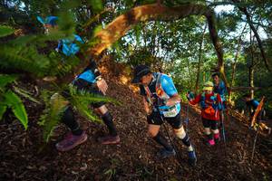 BIB: 2225
                            <button type="button" onclick="openModal(21870039)" class="btn btn-primary btn-sm float-right btn-popup" data-toggle="modal" data-target=".modal-high-quality">
                        <i class="fas fa-shopping-cart"></i> Add to Cart
                    </button>
                                            <button type="button" onclick="isThisMe(21870039, true)" class="btn btn-success btn-sm float-right btn-popup btn-isme hidden" data-toggle="tooltip" data-placement="bottom" title="นี่คือรูปของคุณใช่ไหม คลิกที่นี่เพื่อเอาเข้าอัลบั้ม">
                        <i class="fas fa-plus"></i> Add to album
                    </button>
                    <button type="button" onclick="isThisMe(21870039, false)" class="btn btn-warning btn-sm float-right btn-popup btn-isnotme hidden">
                        <i class="fas fa-ban"></i> Remove from album
                    </button>