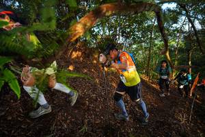 BIB: 
                            <button type="button" onclick="openModal(21870530)" class="btn btn-primary btn-sm float-right btn-popup" data-toggle="modal" data-target=".modal-high-quality">
                        <i class="fas fa-shopping-cart"></i> Add to Cart
                    </button>
                                            <button type="button" onclick="isThisMe(21870530, true)" class="btn btn-success btn-sm float-right btn-popup btn-isme hidden" data-toggle="tooltip" data-placement="bottom" title="นี่คือรูปของคุณใช่ไหม คลิกที่นี่เพื่อเอาเข้าอัลบั้ม">
                        <i class="fas fa-plus"></i> Add to album
                    </button>
                    <button type="button" onclick="isThisMe(21870530, false)" class="btn btn-warning btn-sm float-right btn-popup btn-isnotme hidden">
                        <i class="fas fa-ban"></i> Remove from album
                    </button>